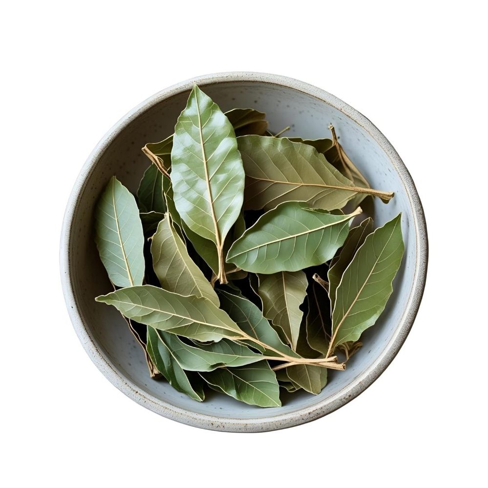 干香草与叶片